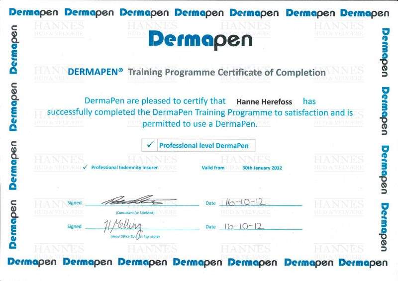 Professional level DermaPen®